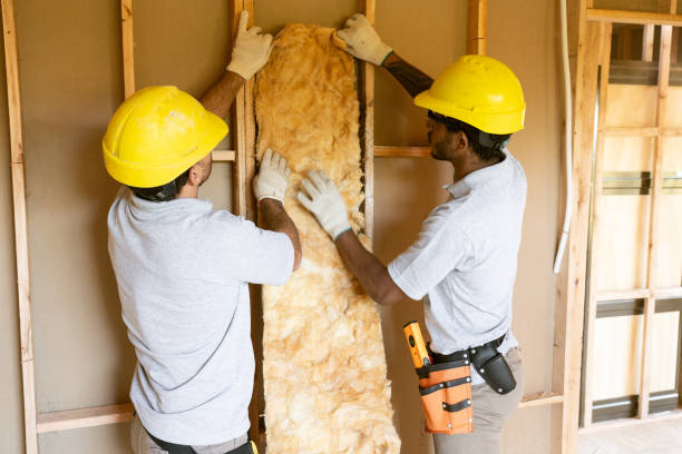 Best Attic Insulation Installation  in Moss Point, MS